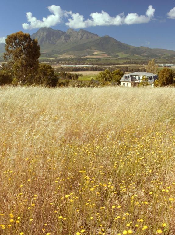 Belair Country House Bed and Breakfast Paarl Exteriör bild